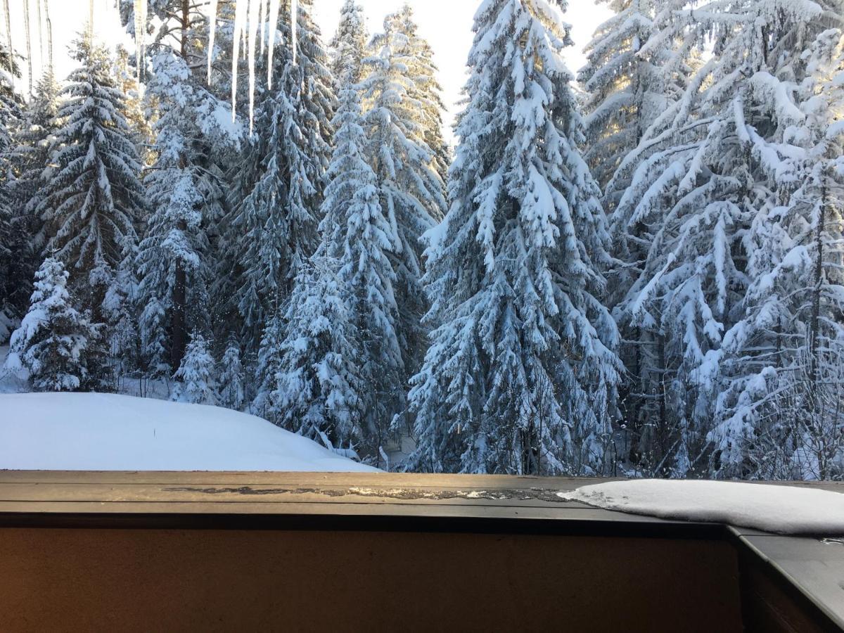 Borovets Chalets 외부 사진