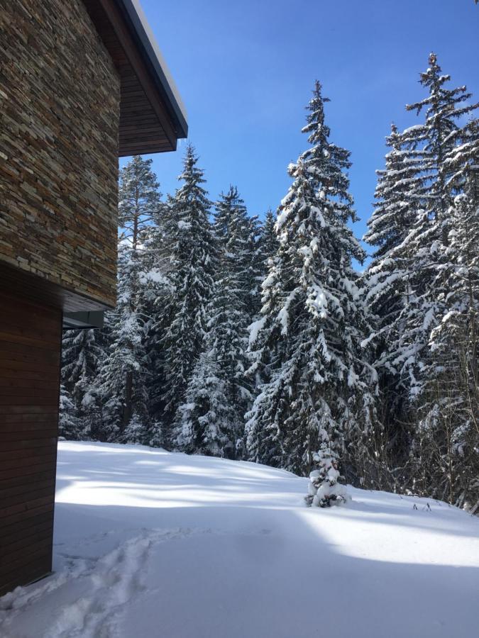 Borovets Chalets 외부 사진
