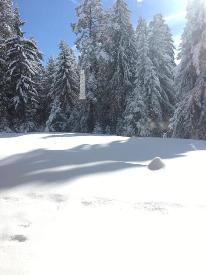 Borovets Chalets 외부 사진