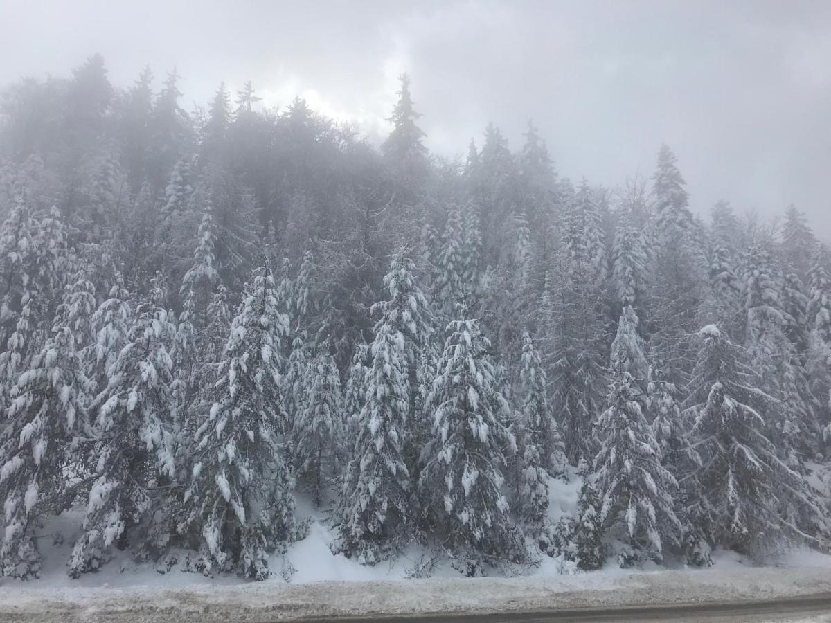 Borovets Chalets 외부 사진
